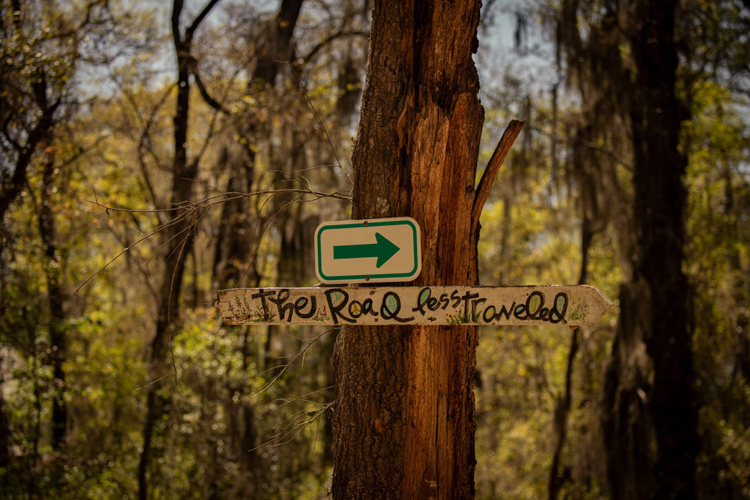 Wooden "The Road Less Traveled" sign on a wooded trail, reflecting the unique setting for a family reunion on Daufuskie Island.